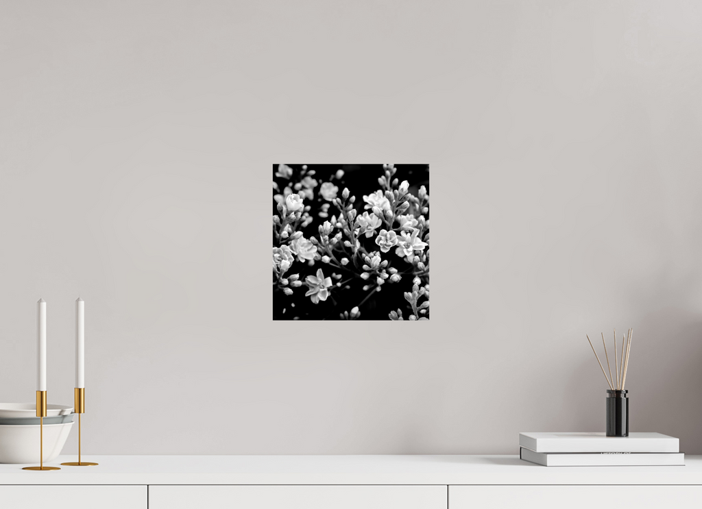 10 x 10″, Photo Print On Fuji Crystal DP II Midnight Blossoms black and white floral fine art print