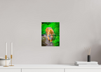On the Prowl Bold Contemporary Wildlife Wall Art