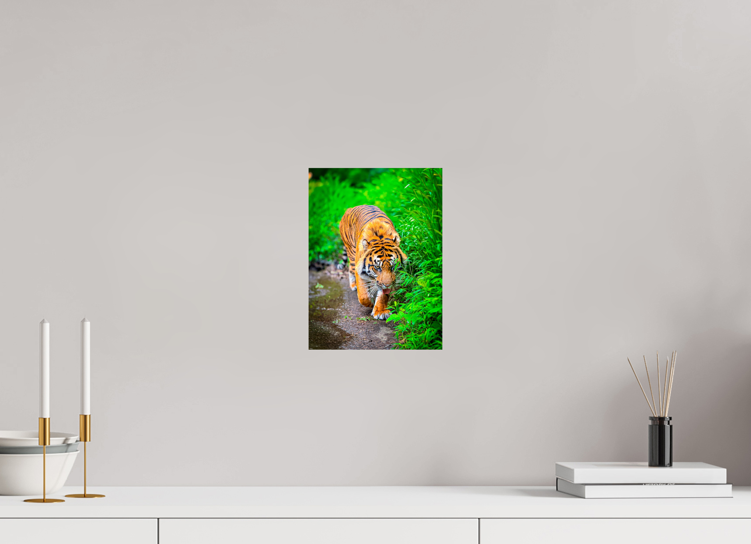 8 x 10.9″, Photo Print On Fuji Crystal DP II On the Prowl