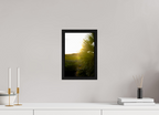 8 x 12″, Floater Frame Golden Hour Sunset Through Palm Fronds in Coastal Marshland
