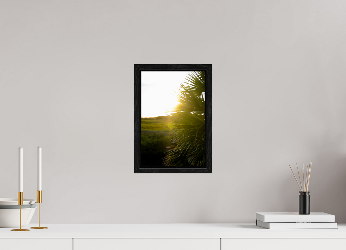 8 x 12″, Floater Frame Golden Hour Sunset Through Palm Fronds in Coastal Marshland