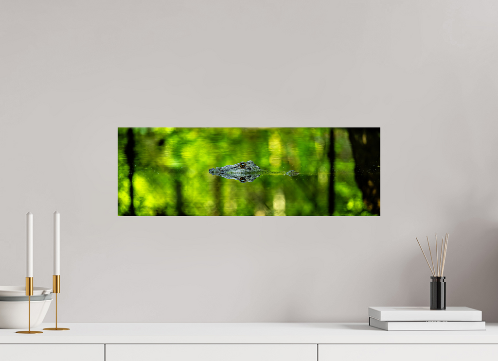 23.7 x 8″, Photo Print On Fuji Crystal DP II Lurking Reflections