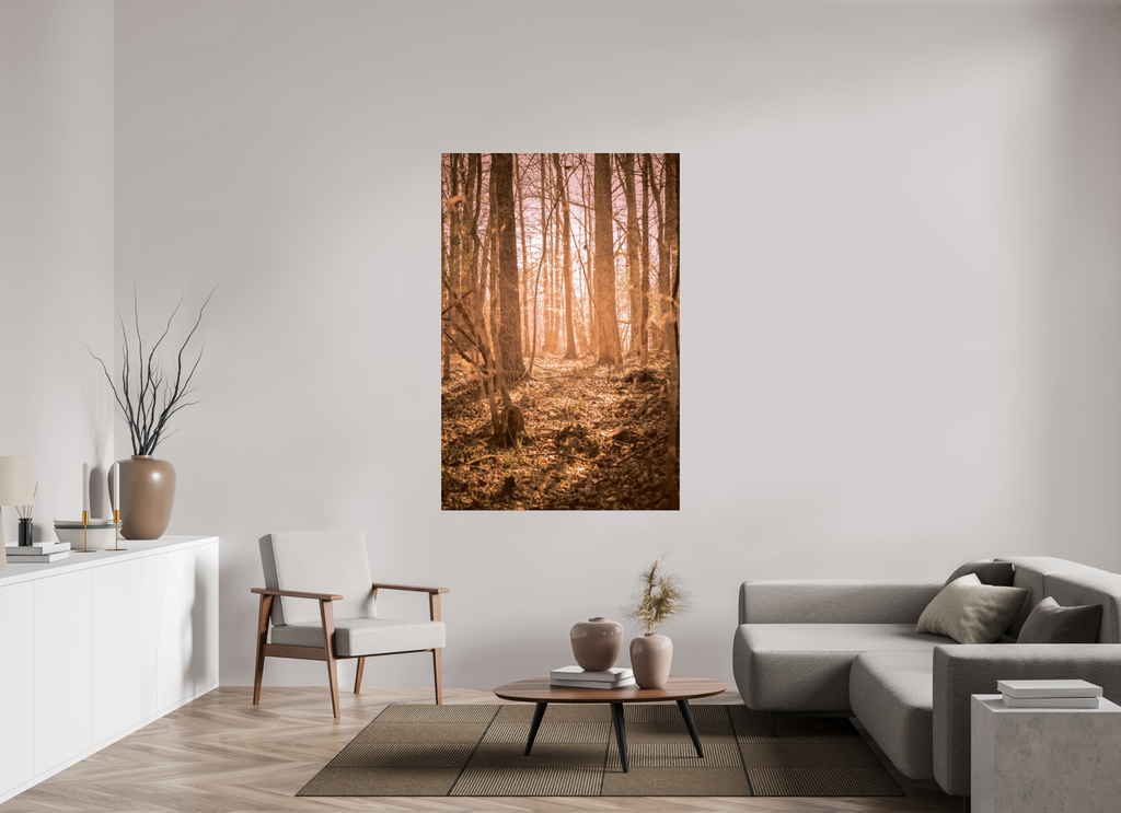 golden solitude forest landscape wall art photography