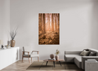 golden solitude forest landscape wall art photography
