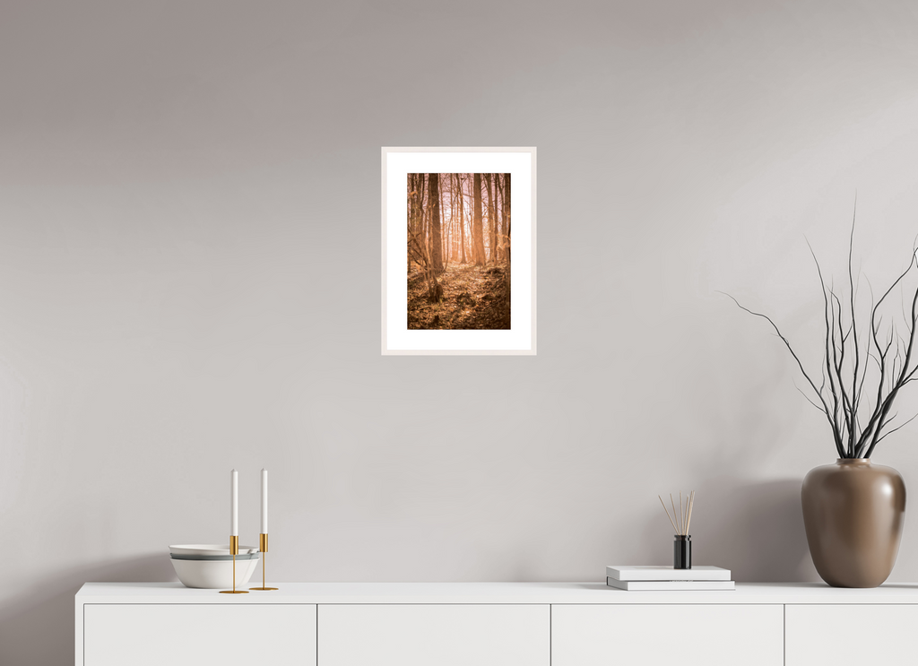 golden solitude forest landscape wall art photography