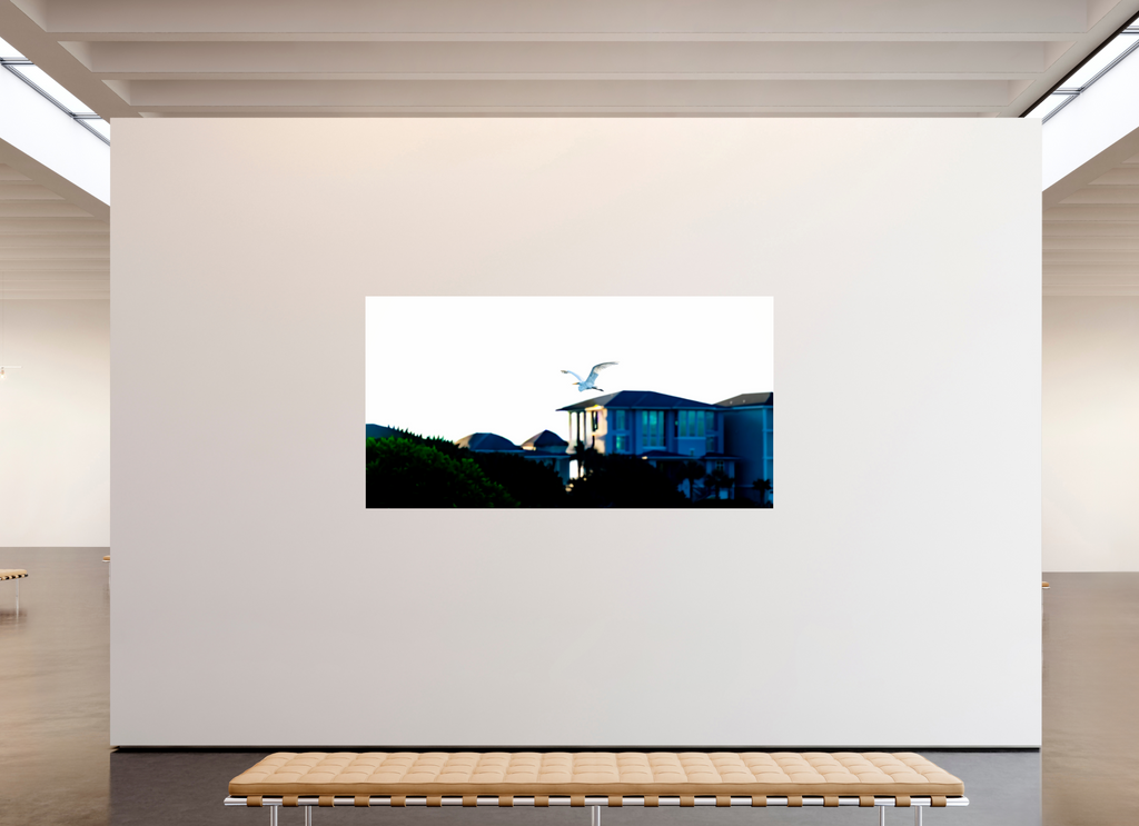 90.4 x 47″, Photo Print Under Acrylic Glass White Egret Flying Over Coastal Beach House