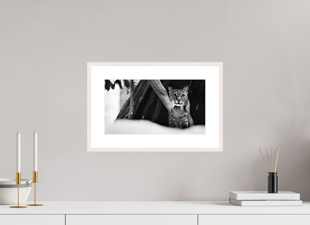 14.5 x 8″, Changeable Magnetic Frame Lynx Dreams