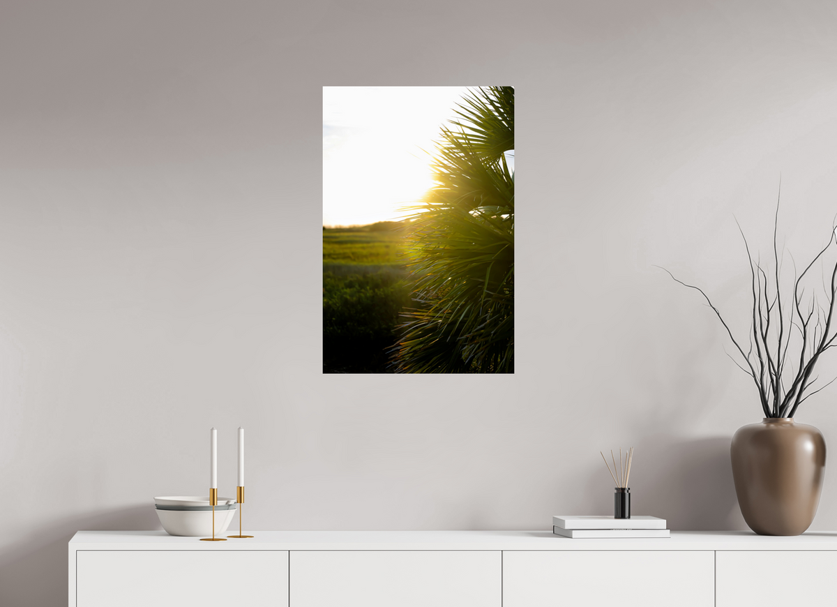 20 x 30″, Photo Print On Fuji Crystal DP II Golden Hour Sunset Through Palm Fronds in Coastal Marshland