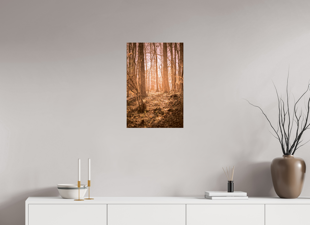 golden solitude forest landscape wall art photography