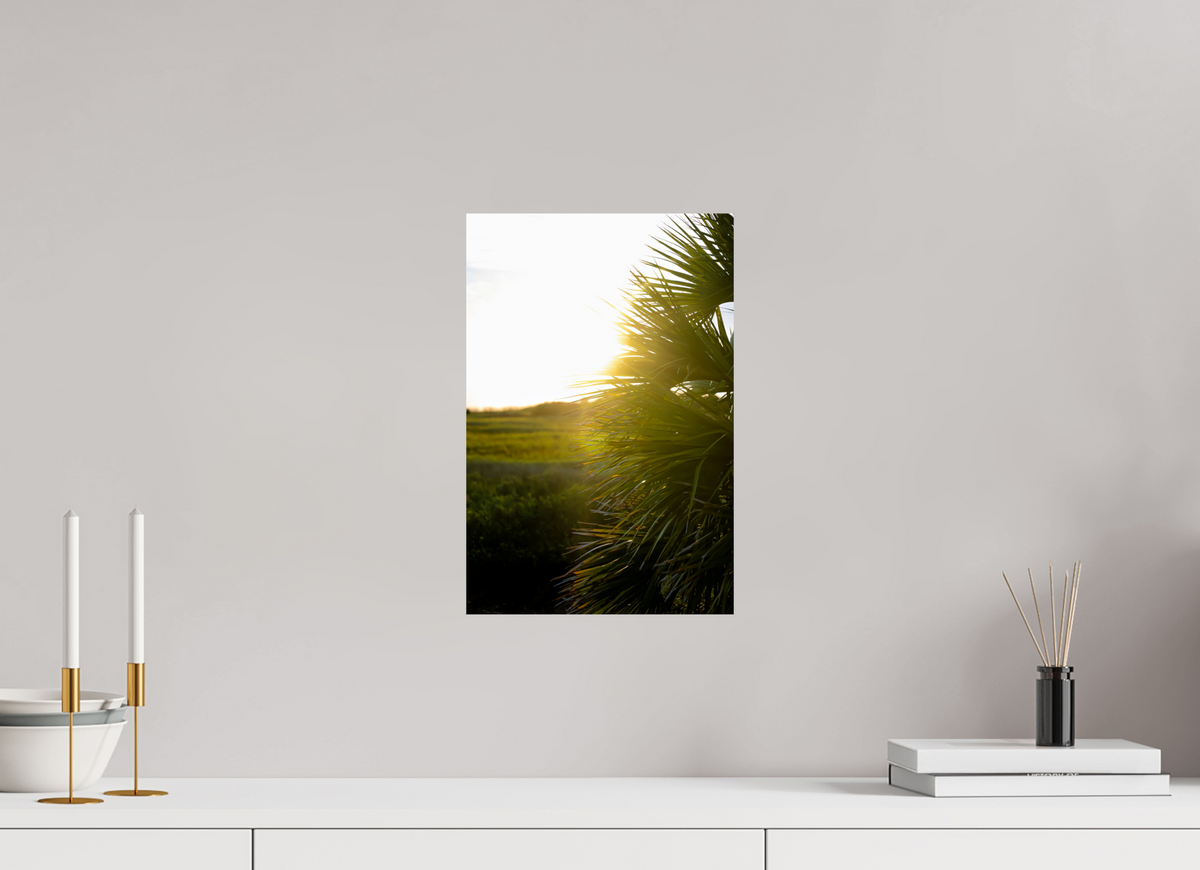 10 x 15″, Photo Print On Fuji Crystal DP II Golden Hour Sunset Through Palm Fronds in Coastal Marshland