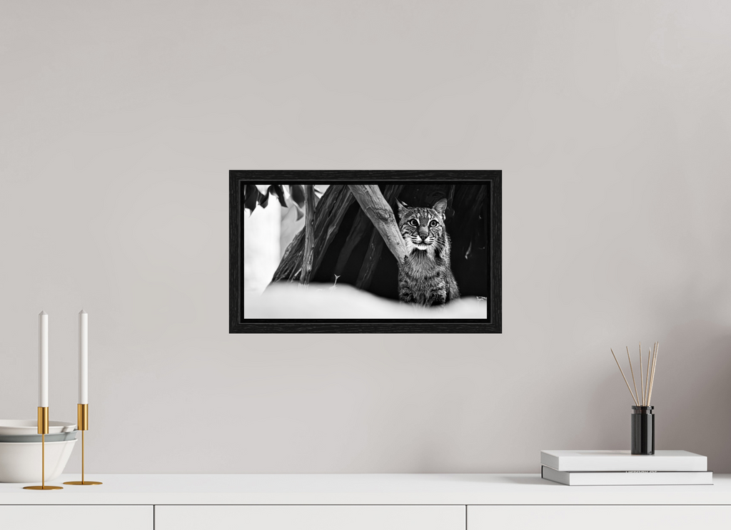 14.5 x 8″, Floater Frame Lynx Dreams