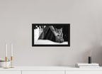 14.5 x 8″, Floater Frame Lynx Dreams
