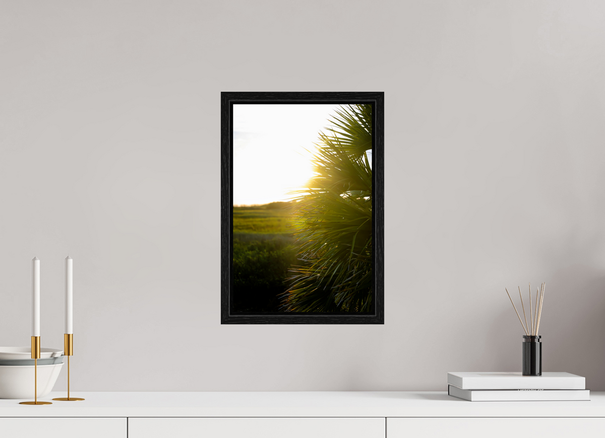 10 x 15″, Floater Frame Golden Hour Sunset Through Palm Fronds in Coastal Marshland