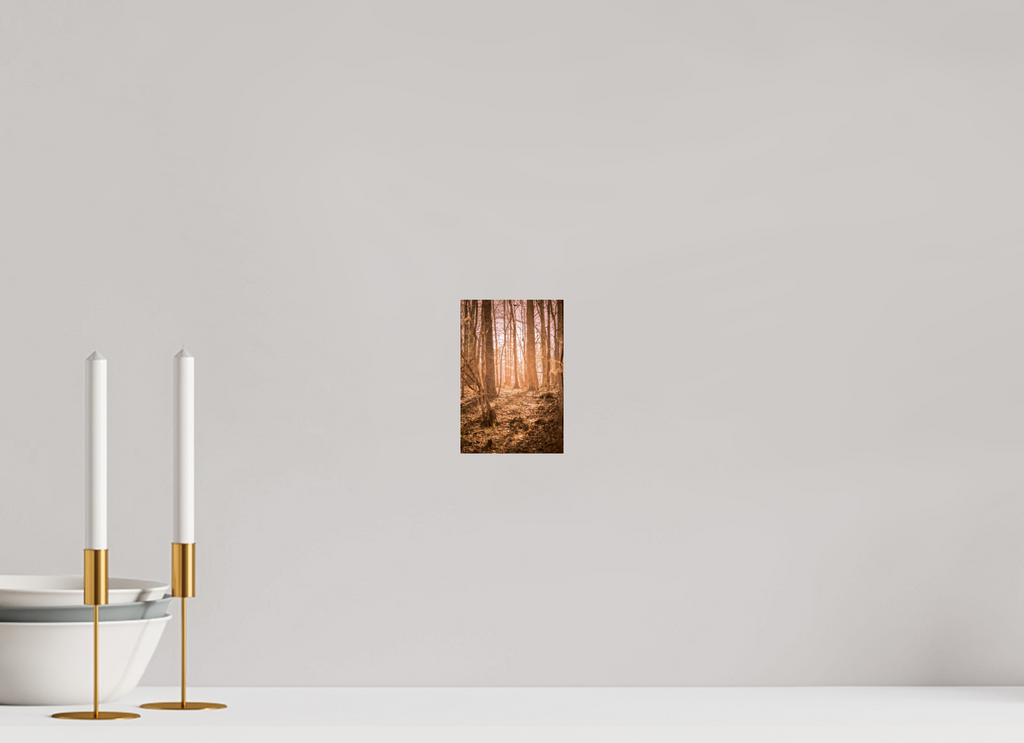golden solitude forest landscape wall art photography