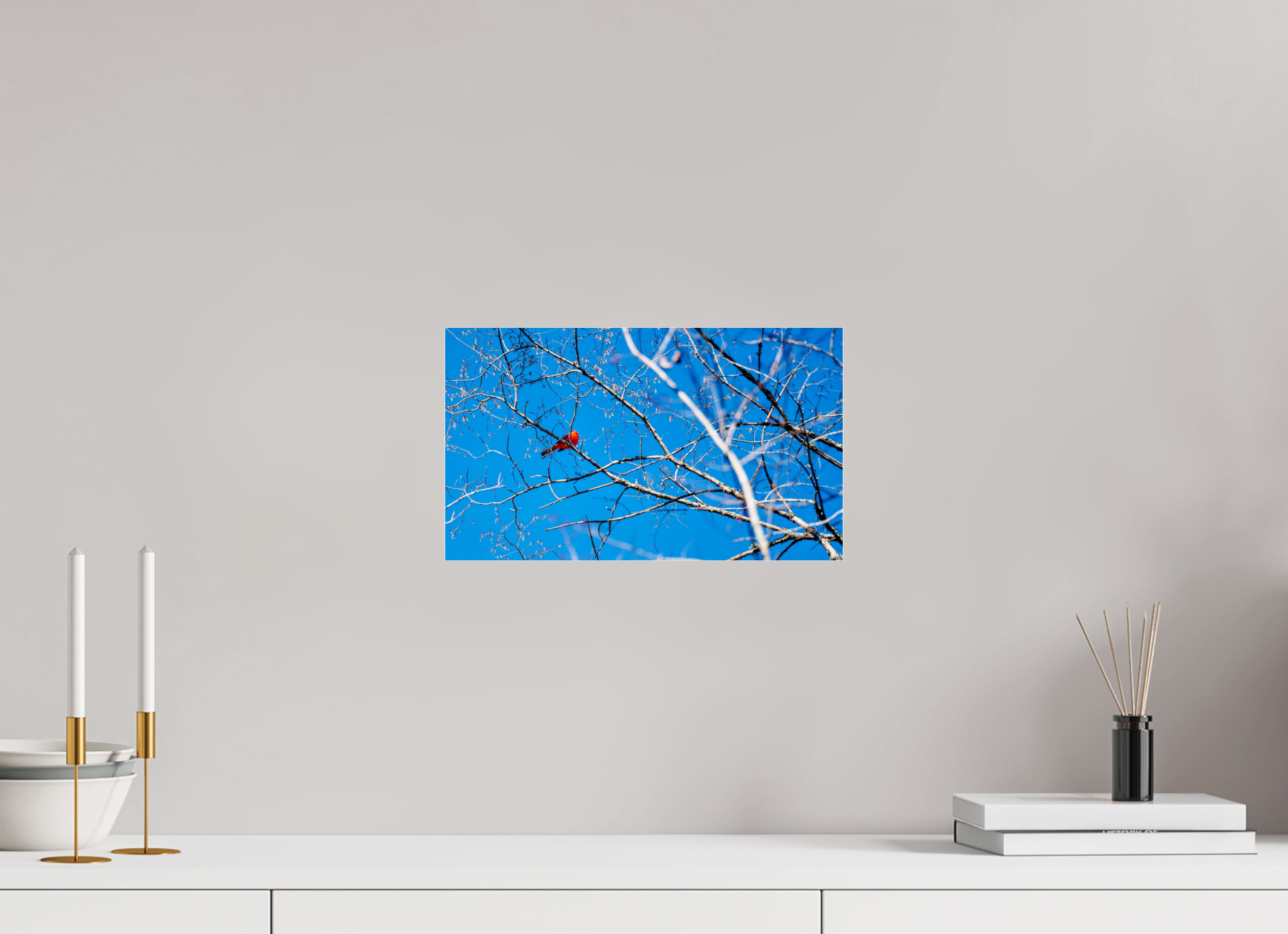 13.7 x 8″, Photo Print Under Acrylic Glass Brilliant Red