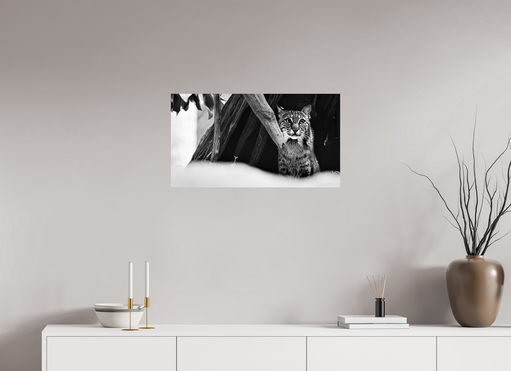 28.9 x 16″, Photo Print On Fuji Crystal DP II Lynx Dreams