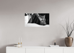 28.9 x 16″, Photo Print On Fuji Crystal DP II Lynx Dreams