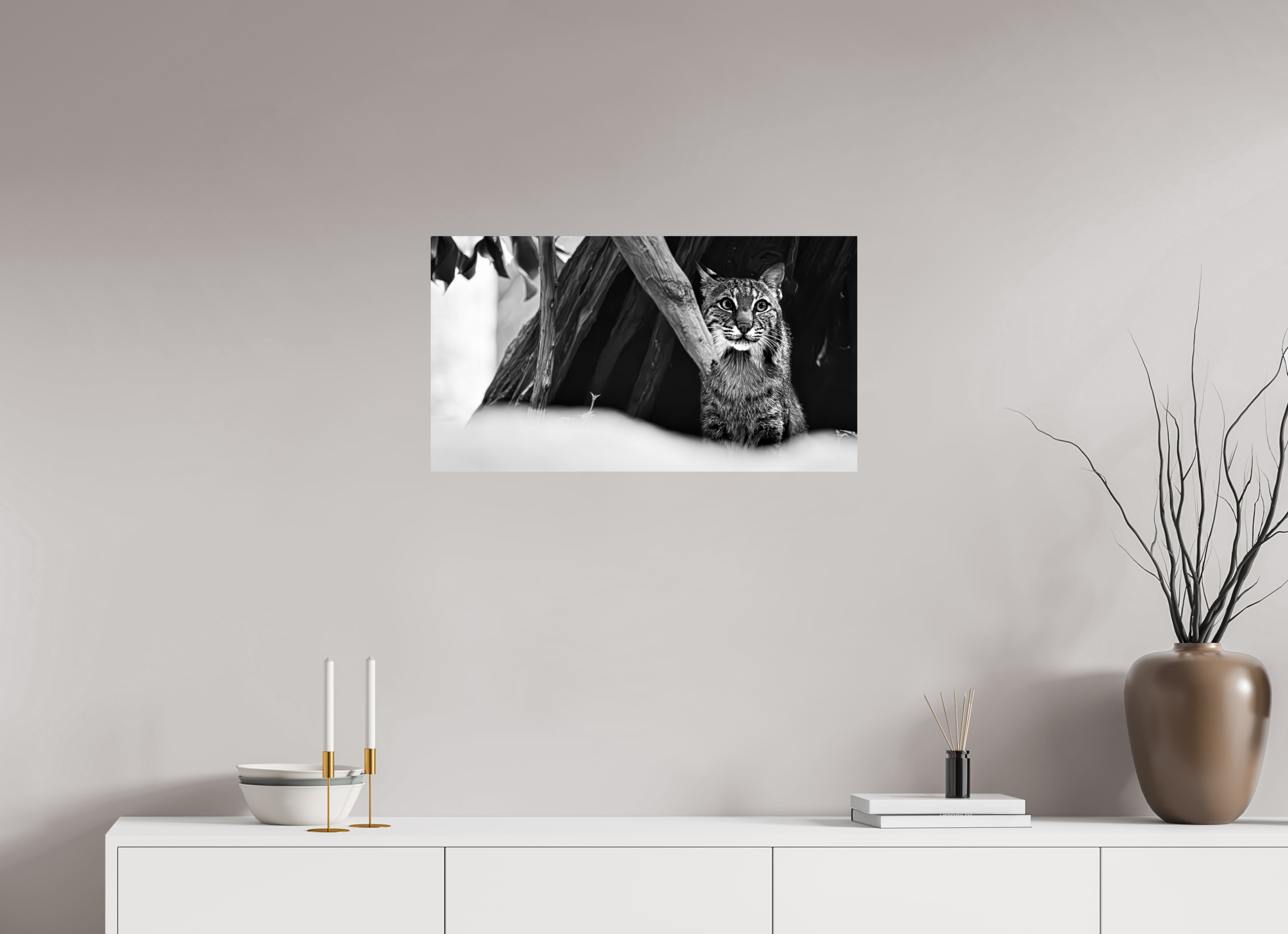 28.9 x 16″, Photo Print On Fuji Crystal DP II Lynx Dreams