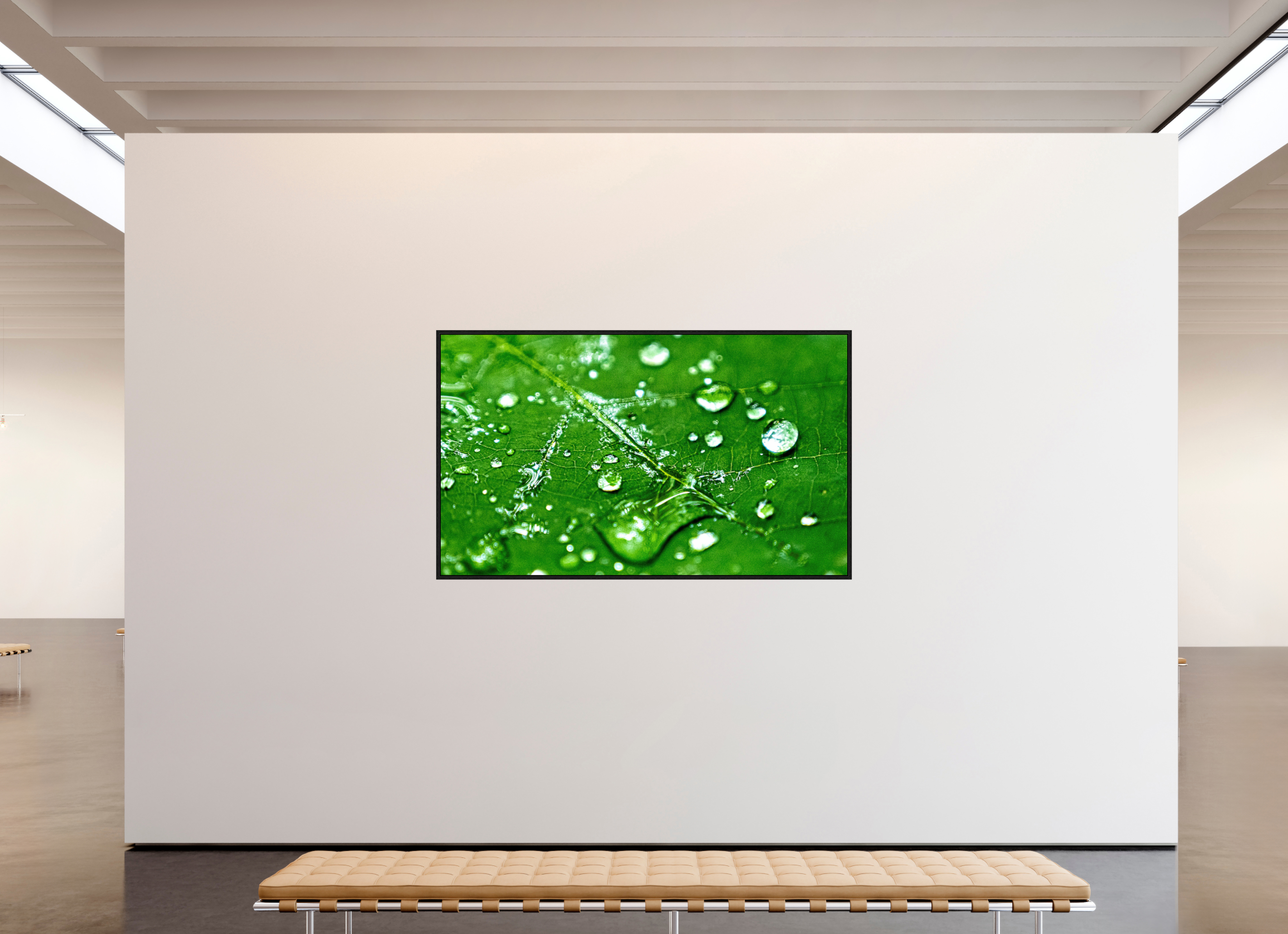 79.5 x 47″, Floater Frame Emerald Morning Dew