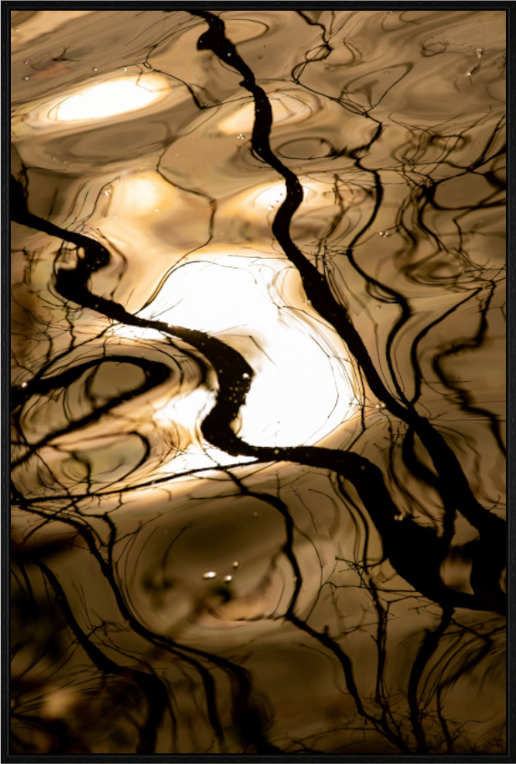 Main image Liquid Gold