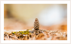 Macro Cone Modern Abstract Textured Wall Art