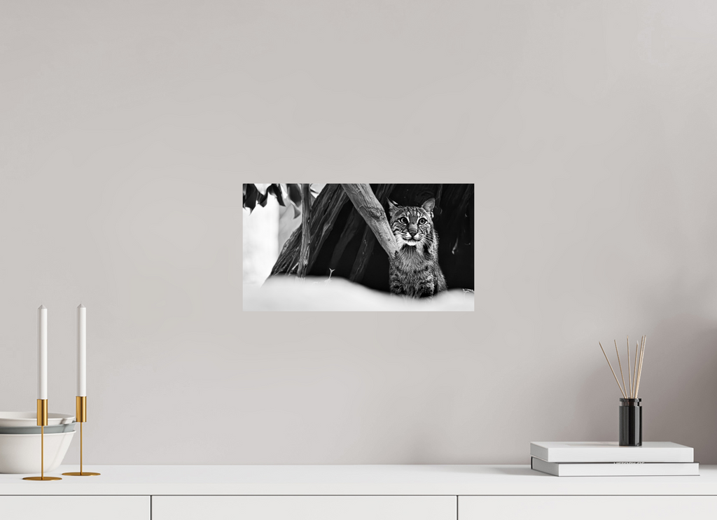 14.5 x 8″, Photo Print On Fuji Crystal DP II Lynx Dreams