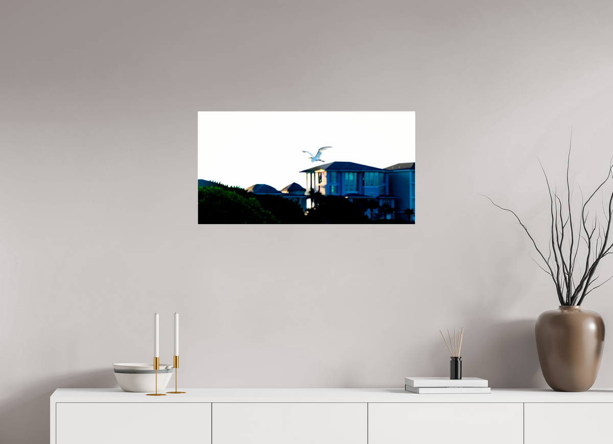 30.7 x 16″, Photo Print Under Acrylic Glass White Egret Flying Over Coastal Beach House
