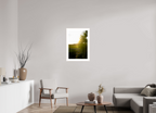 20 x 30″, Changeable Magnetic Frame Golden Hour Sunset Through Palm Fronds in Coastal Marshland