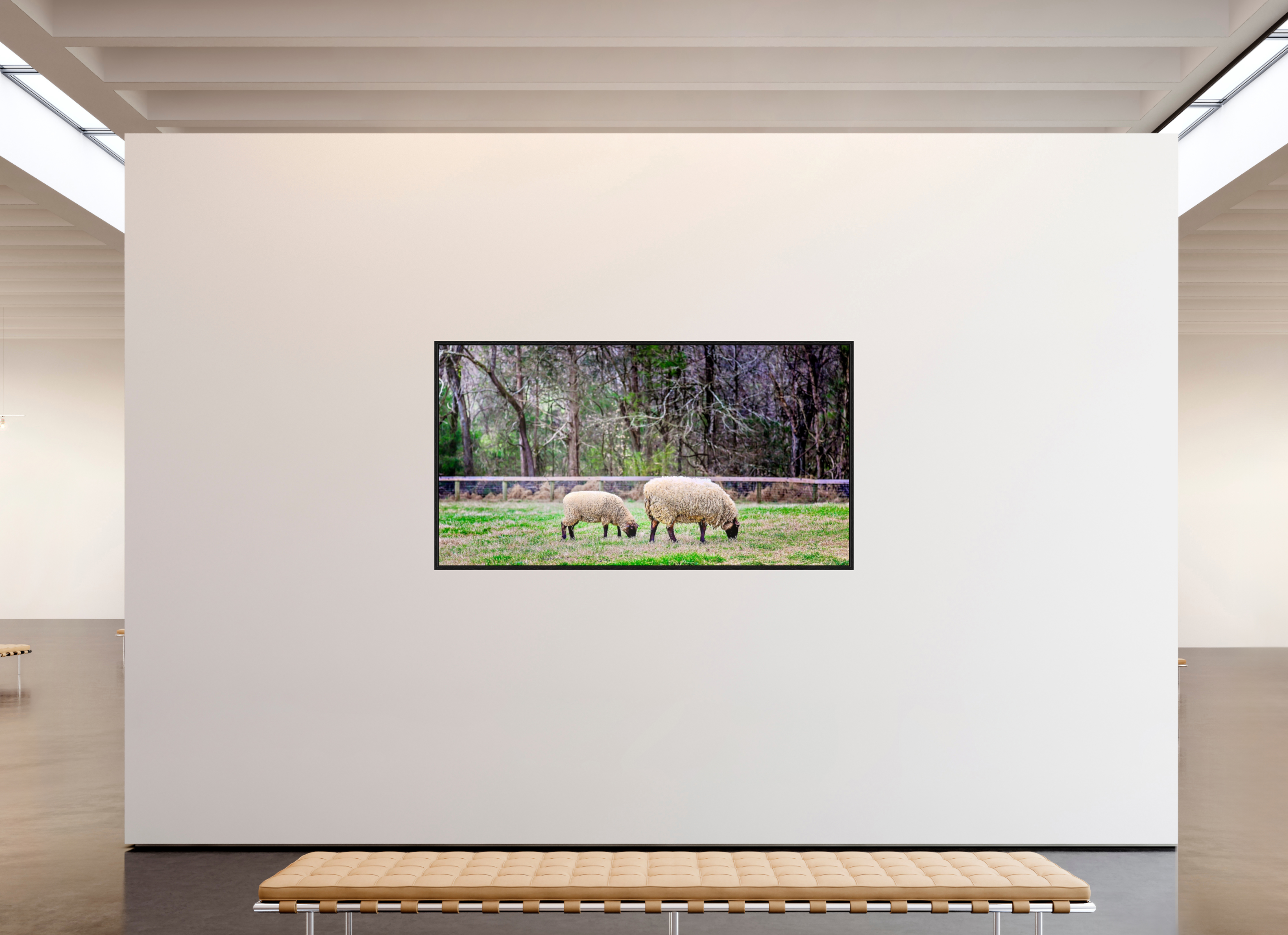 80.2 x 43″, Floater Frame Tranquil Pastures