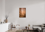 golden solitude forest landscape wall art photography
