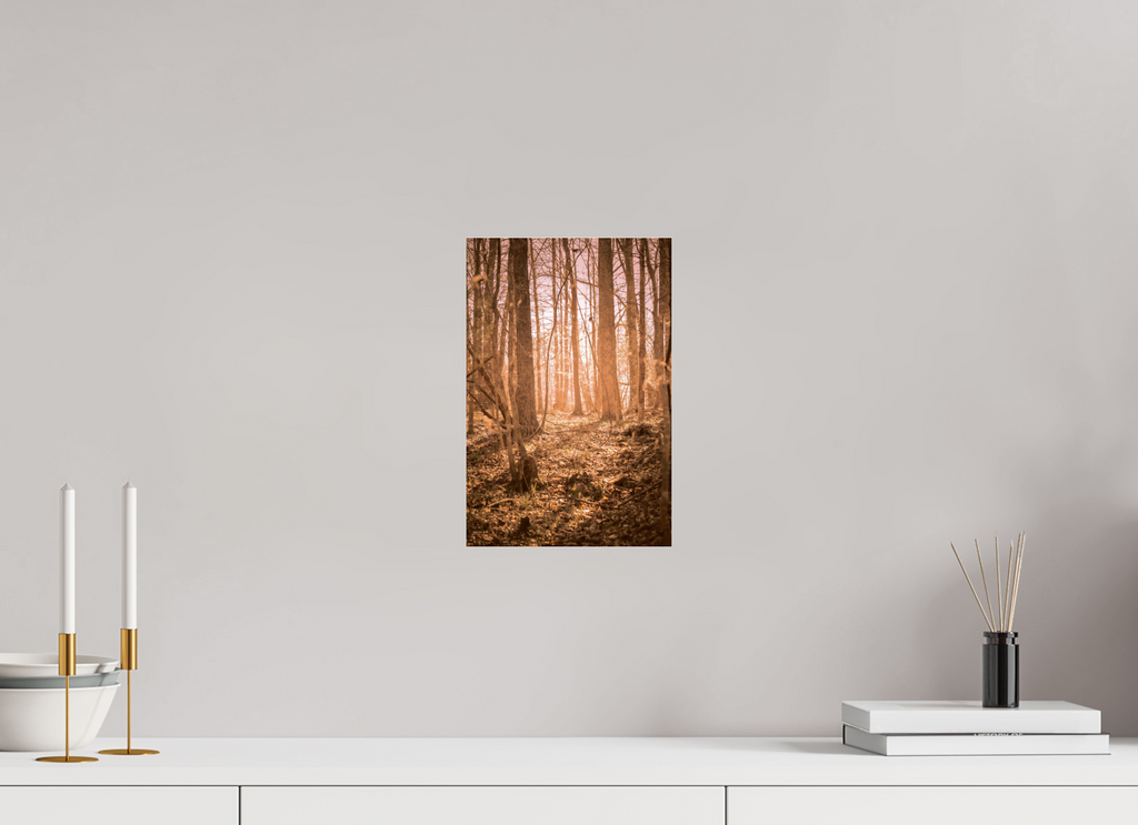 golden solitude forest landscape wall art photography