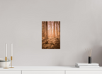 golden solitude forest landscape wall art photography