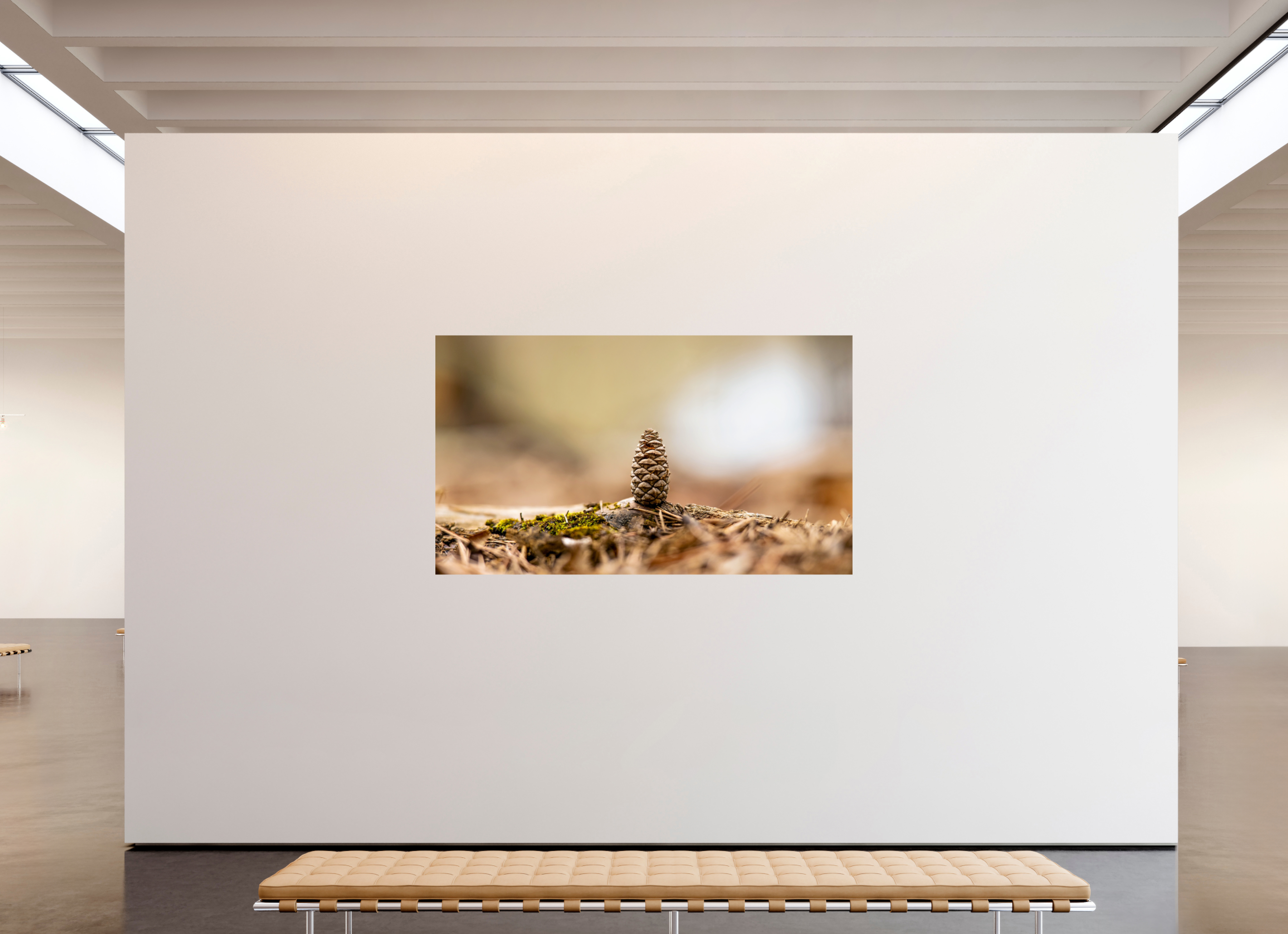 82 x 47″, Photo Print On Fuji Crystal DP II Macro Cone